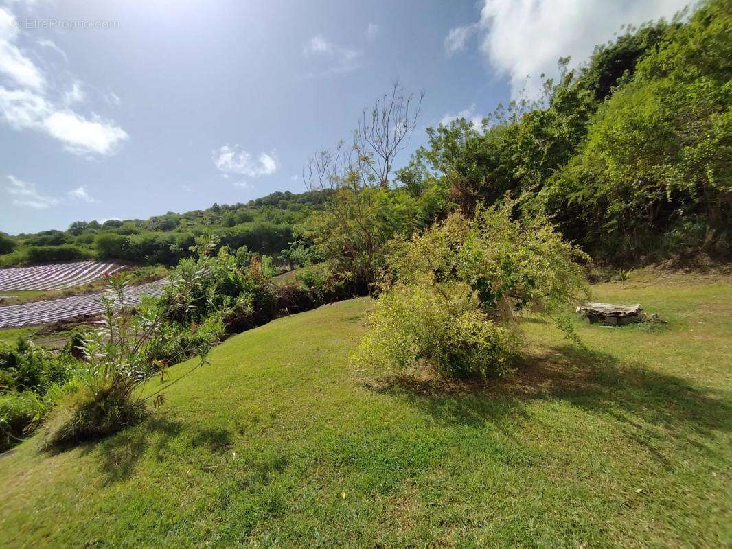 Maison à SAINTE-ANNE