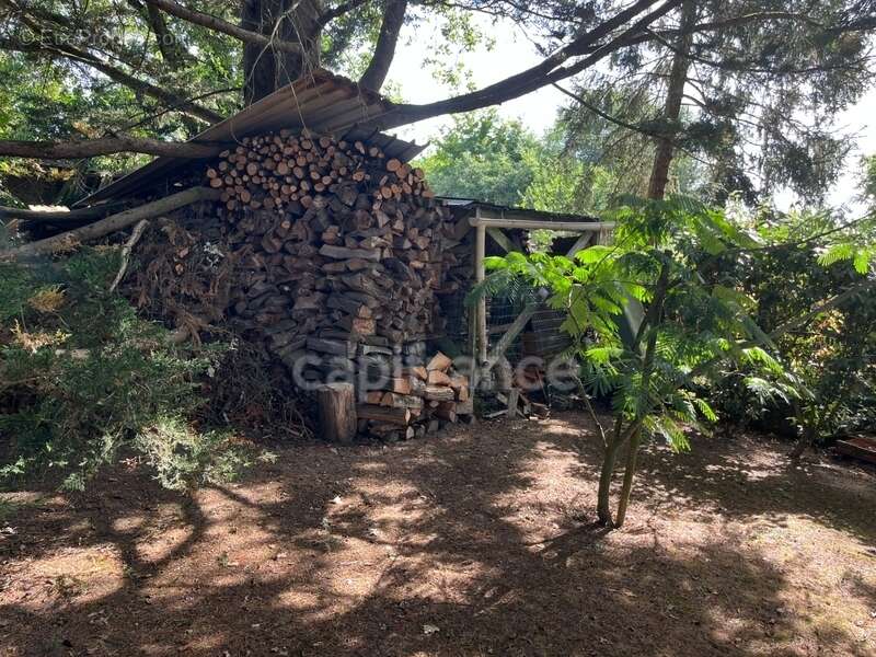 Propriété avec dépendances au coeur d’un jardin paysager– 230 m² habitables – À 10 min des plages des Sables-d'Olonne - photo 34