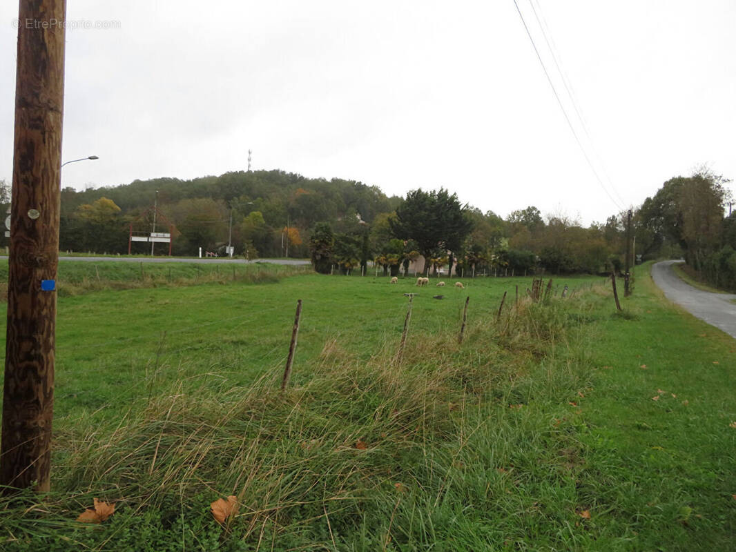 Terrain à RABASTENS-DE-BIGORRE