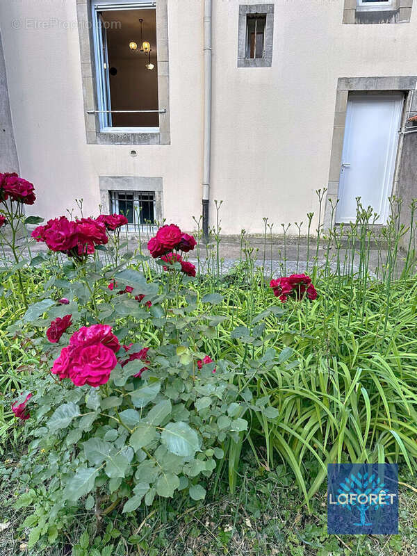Appartement à NANCY