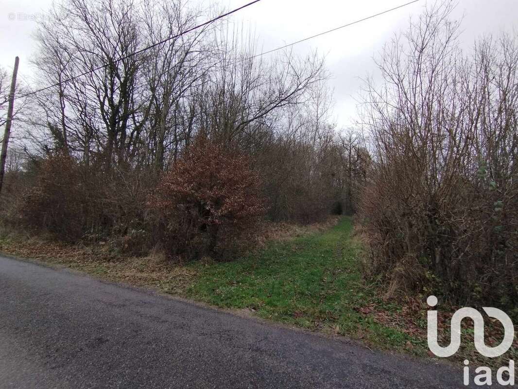 Photo 4 - Terrain à VEZILLY