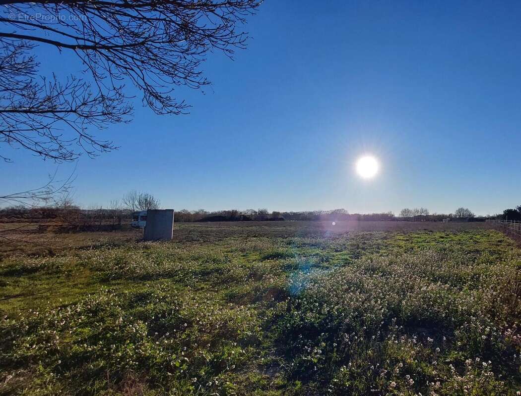 Photo 3 - Terrain à LE CAILAR