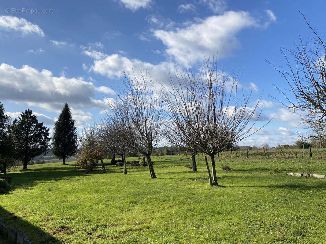 jardin - Maison à CHATENET