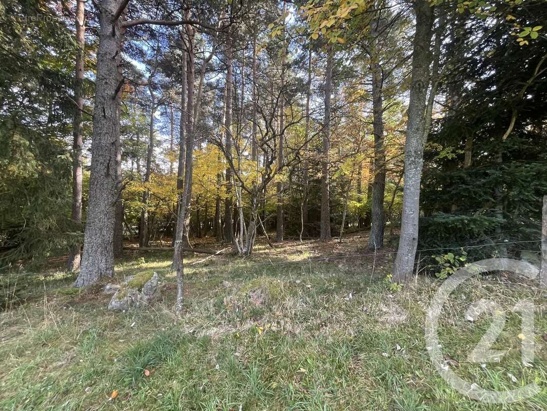 Terrain à BURDIGNES