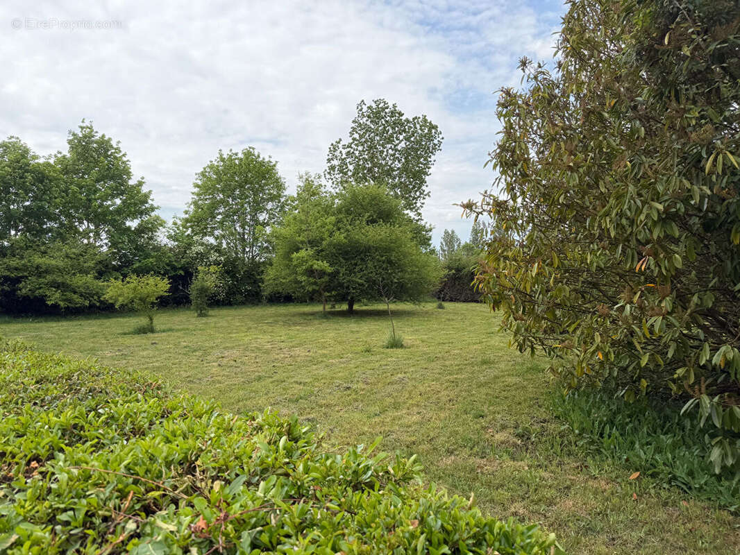 Terrain à ITEUIL