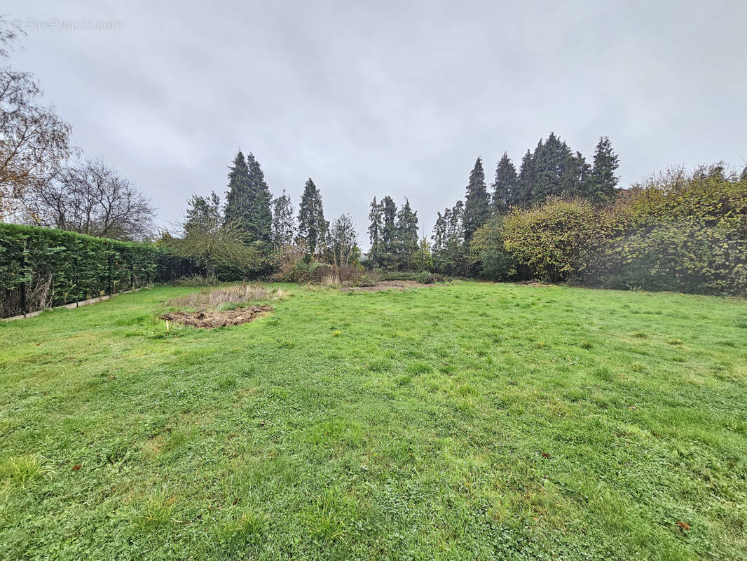 Terrain à FRETIN