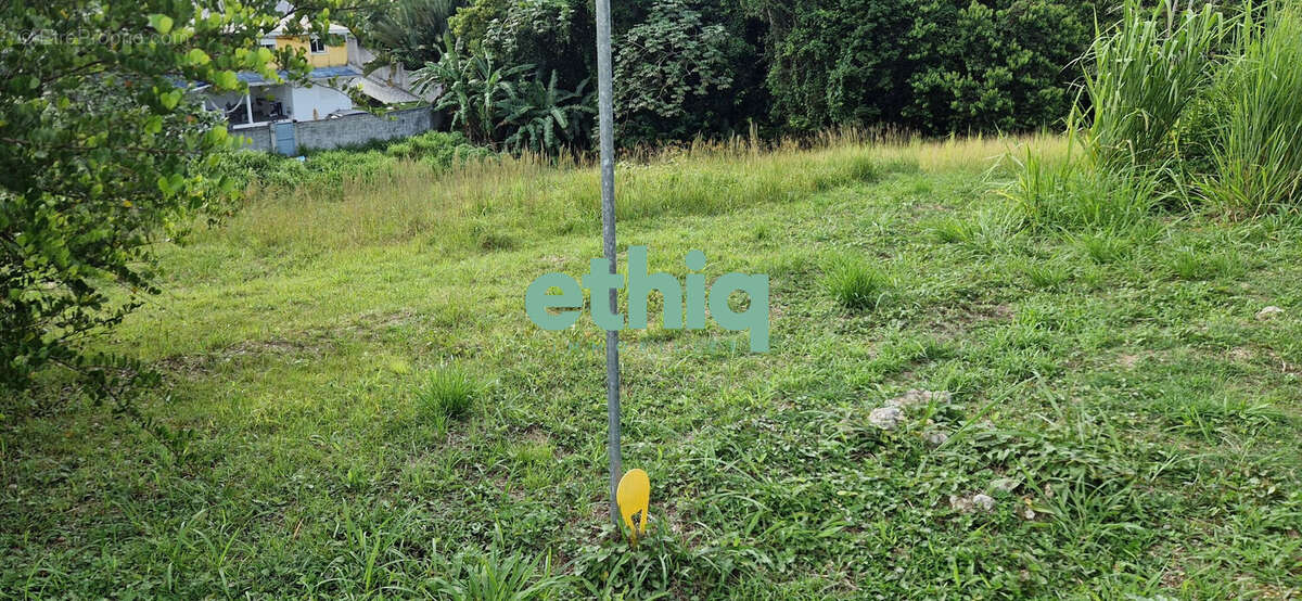 Terrain à PETIT-BOURG