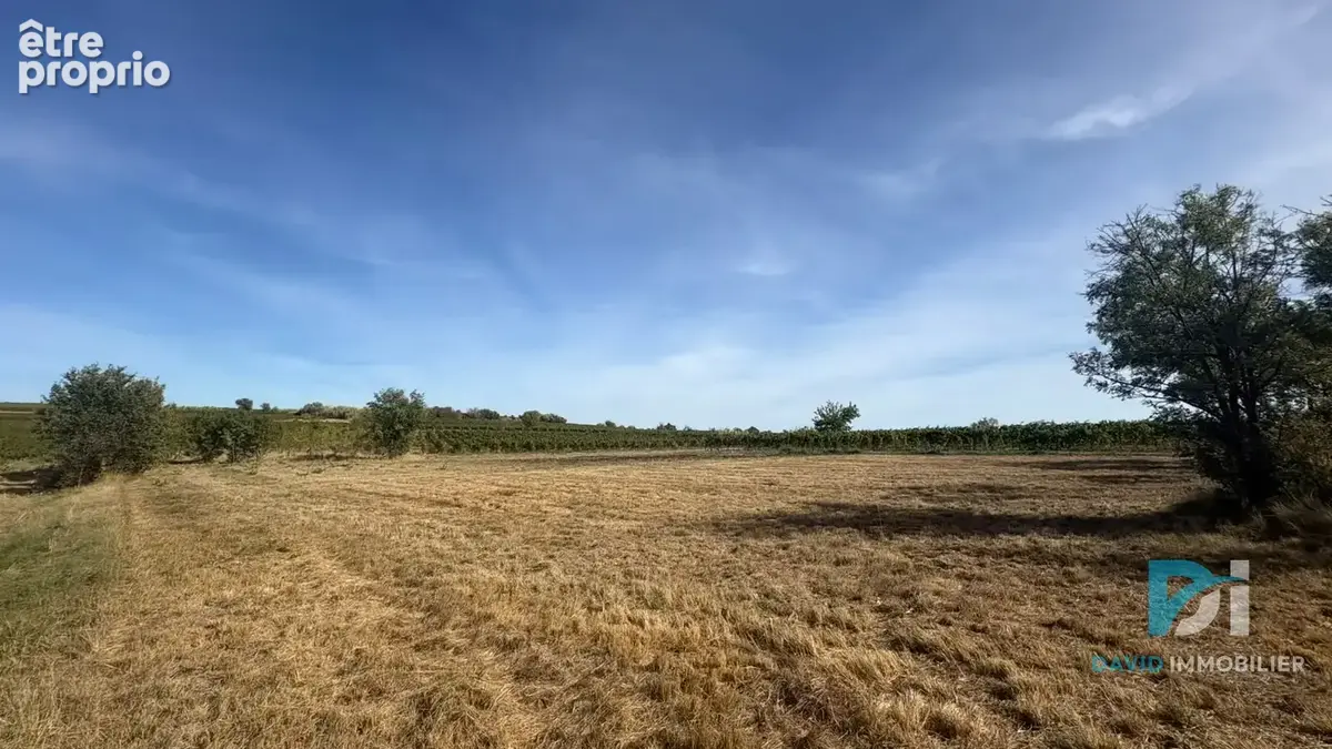 Terrain agricole - photo 4