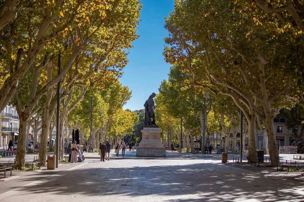 Photo 3 - Commerce à BEZIERS