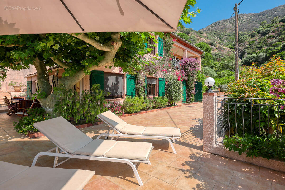 Maison à LE LAVANDOU