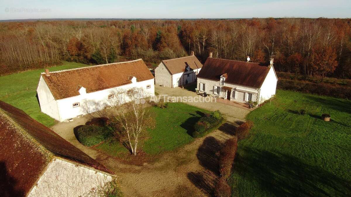 Terrain 470832 m² à Theillay  - photo 30