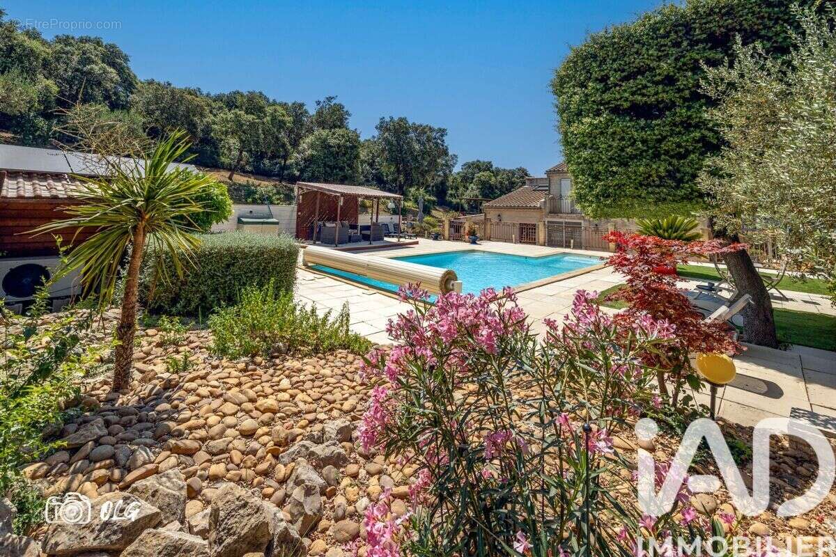 Photo 4 - Maison à BELLEGARDE