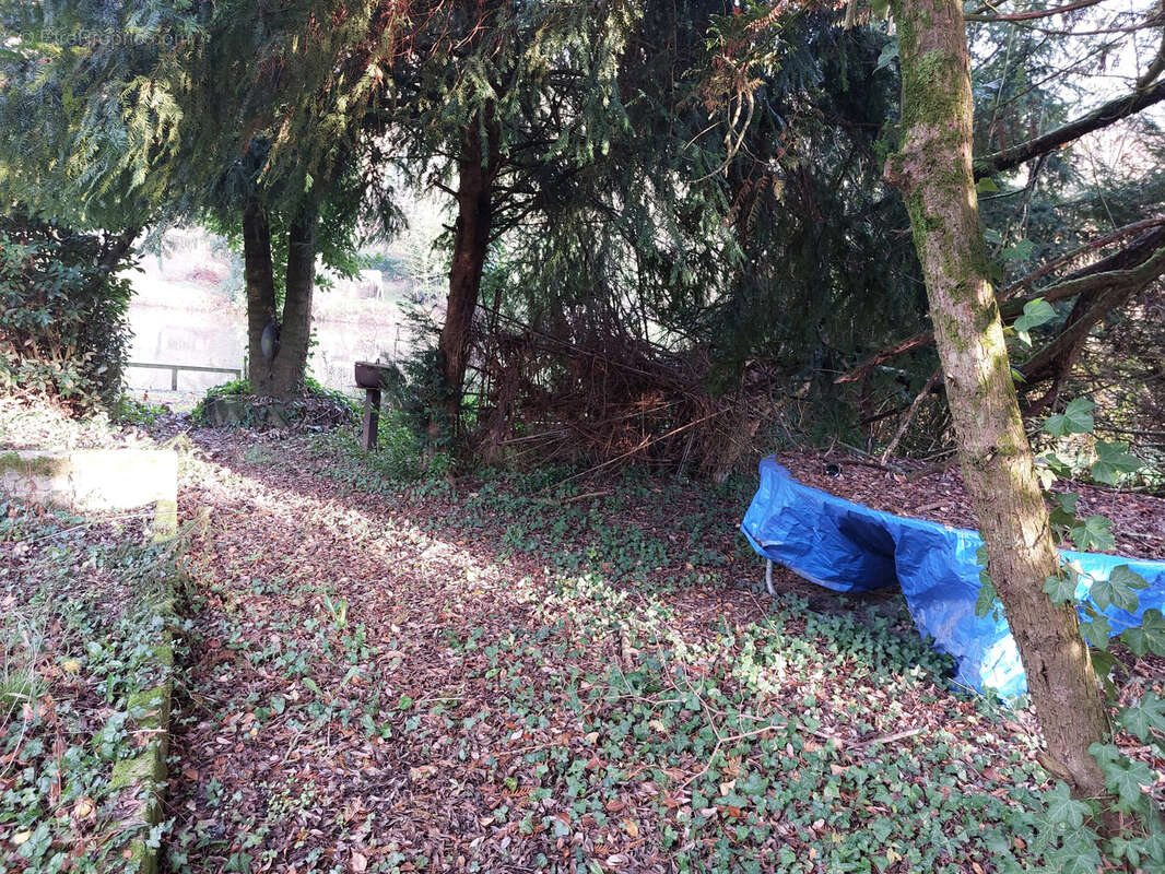 Terrain à SAINT-JACQUES-DE-THOUARS