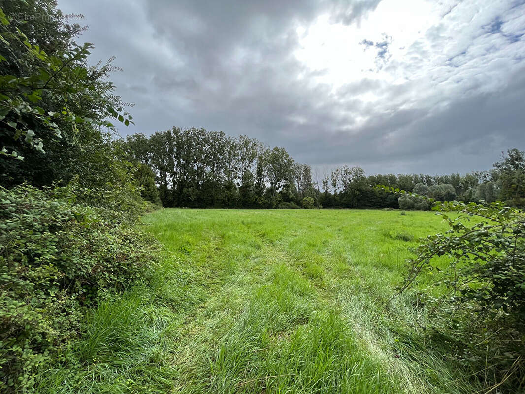 Terrain à BLANCAFORT