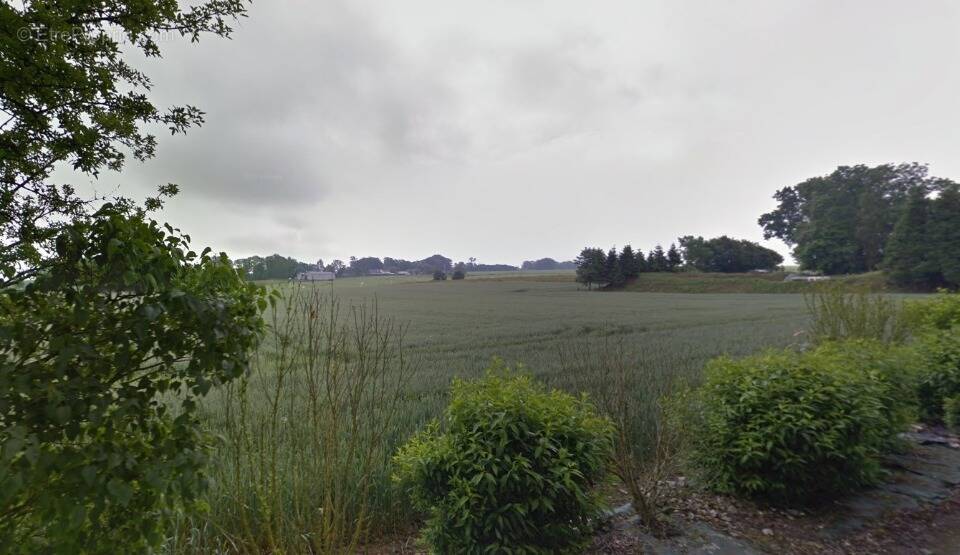 Terrain à SAINT-EUSTACHE-LA-FORET