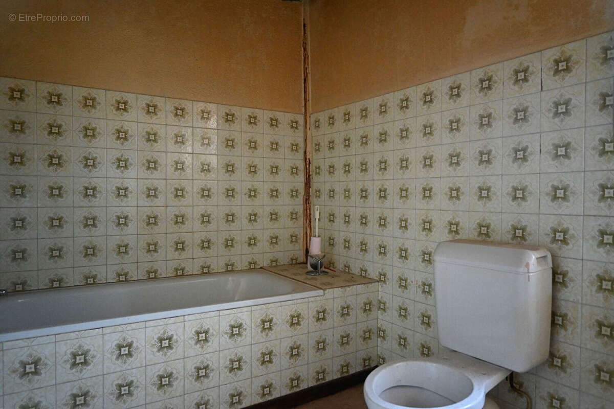 Maison de village - la llagonne - photo 14