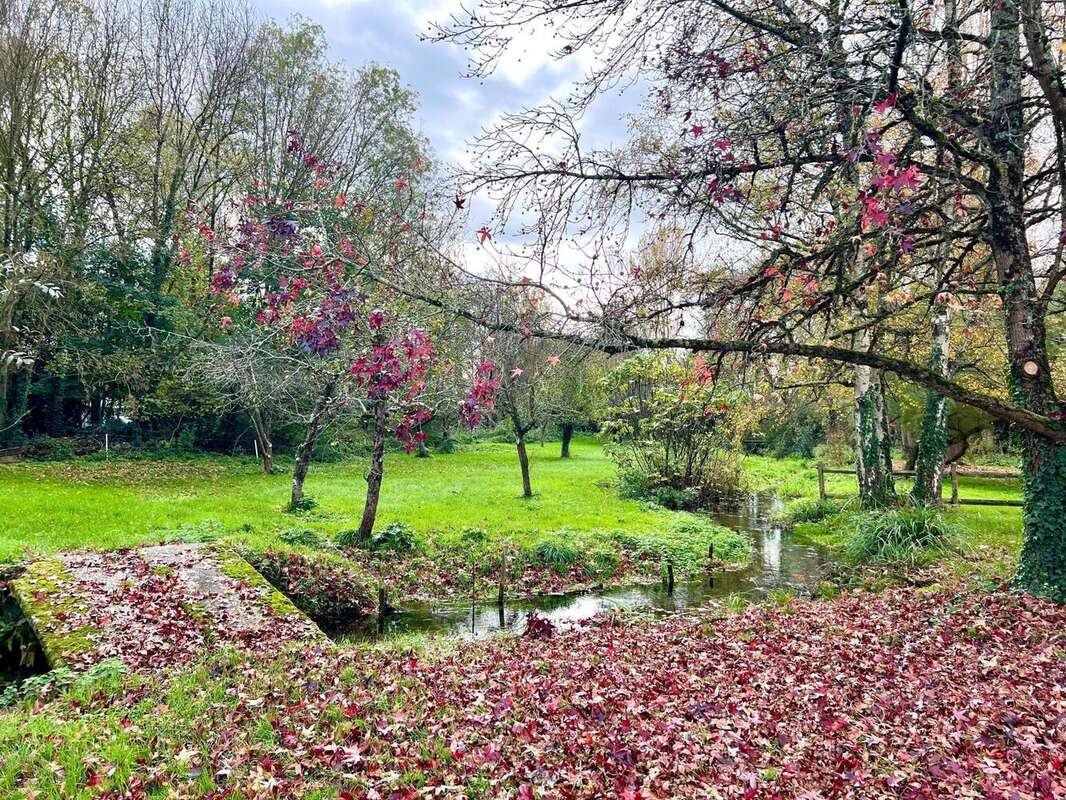 Photo 4 - Maison à SAINT-JEAN-D&#039;ANGELY