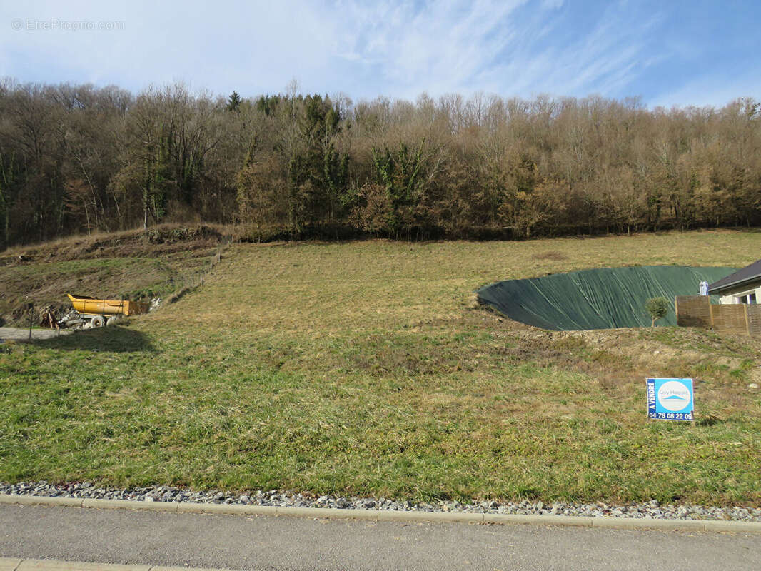 Terrain à LA TRINITE