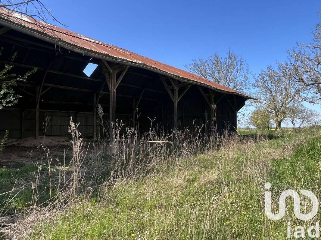 Photo 4 - Terrain à CHAMBOURG-SUR-INDRE