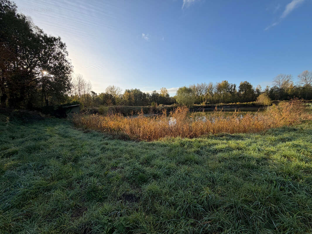 Terrain à WANDIGNIES-HAMAGE