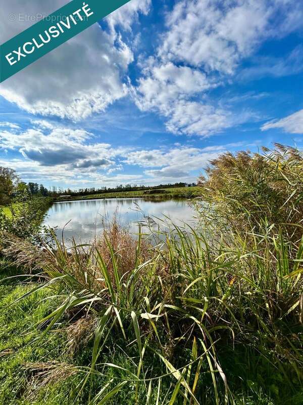 Photo 9 - Maison à HERBITZHEIM