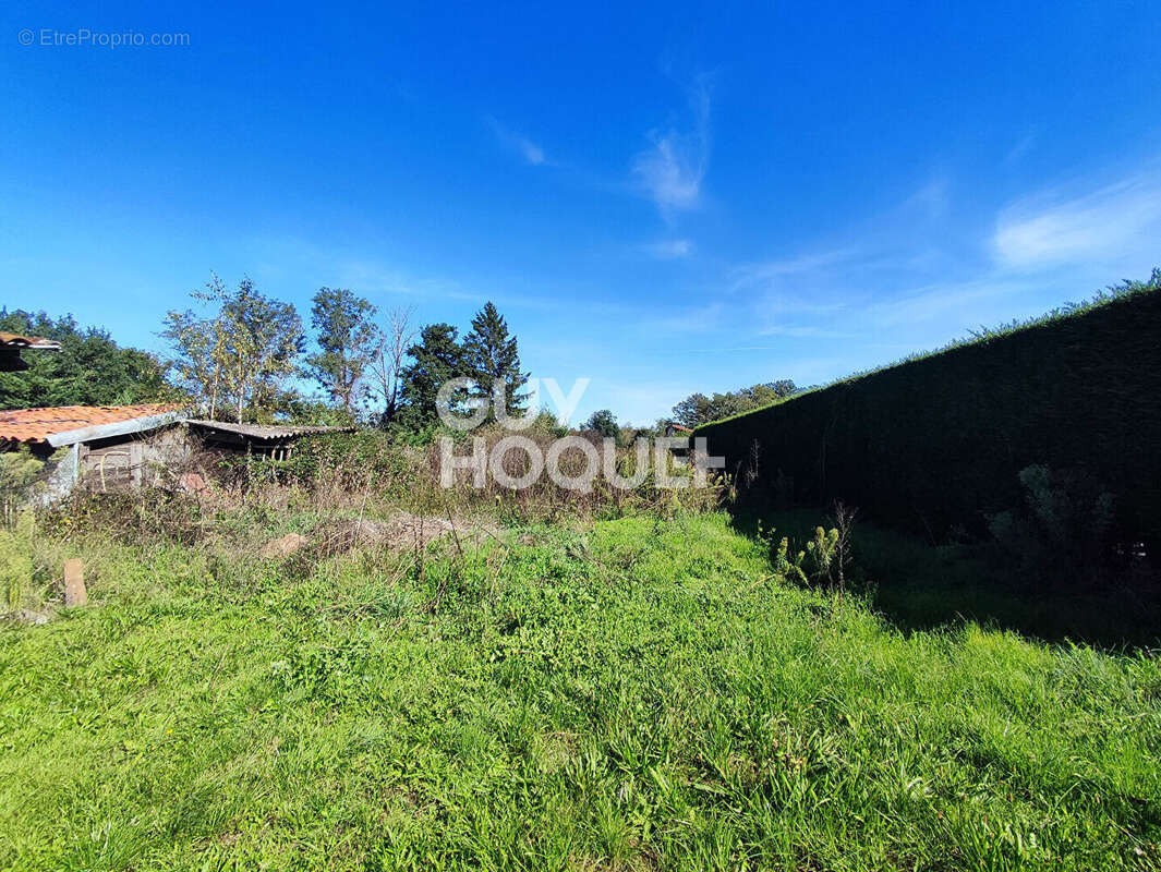 Maison à MORNAND-EN-FOREZ