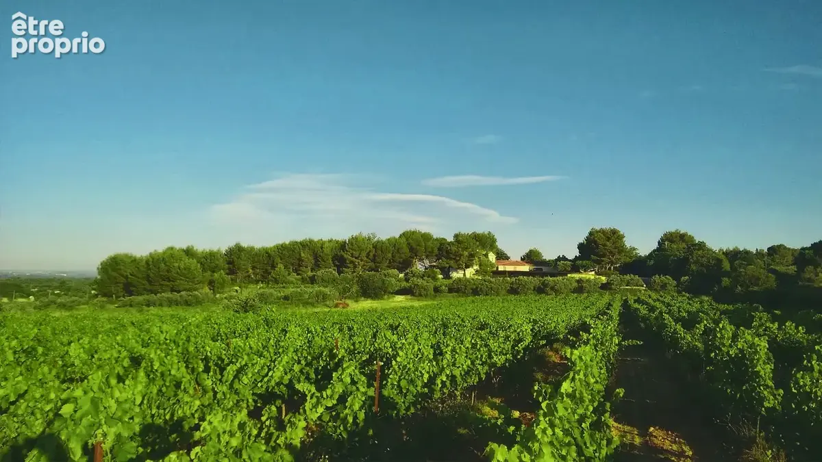 Ventoux   Domaine viticole de renom sur 18 ha - intimiste et vue dominante - photo 17