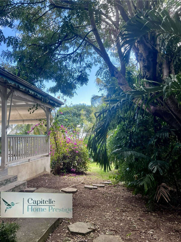 Maison à SAINT-FRANCOIS