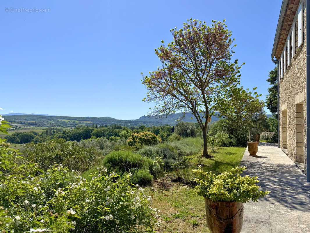 Maison à FORCALQUIER