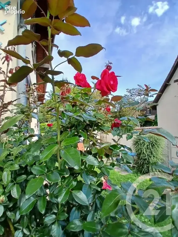 Maison 5 pièces 110 m² à vendre à La Chapelle-Reanville (27950) - photo 7