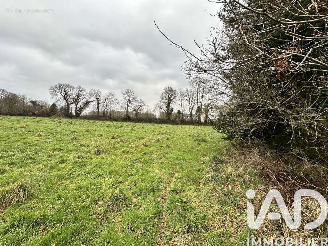 Terrain 5119 m² à Landudal  - photo 3
