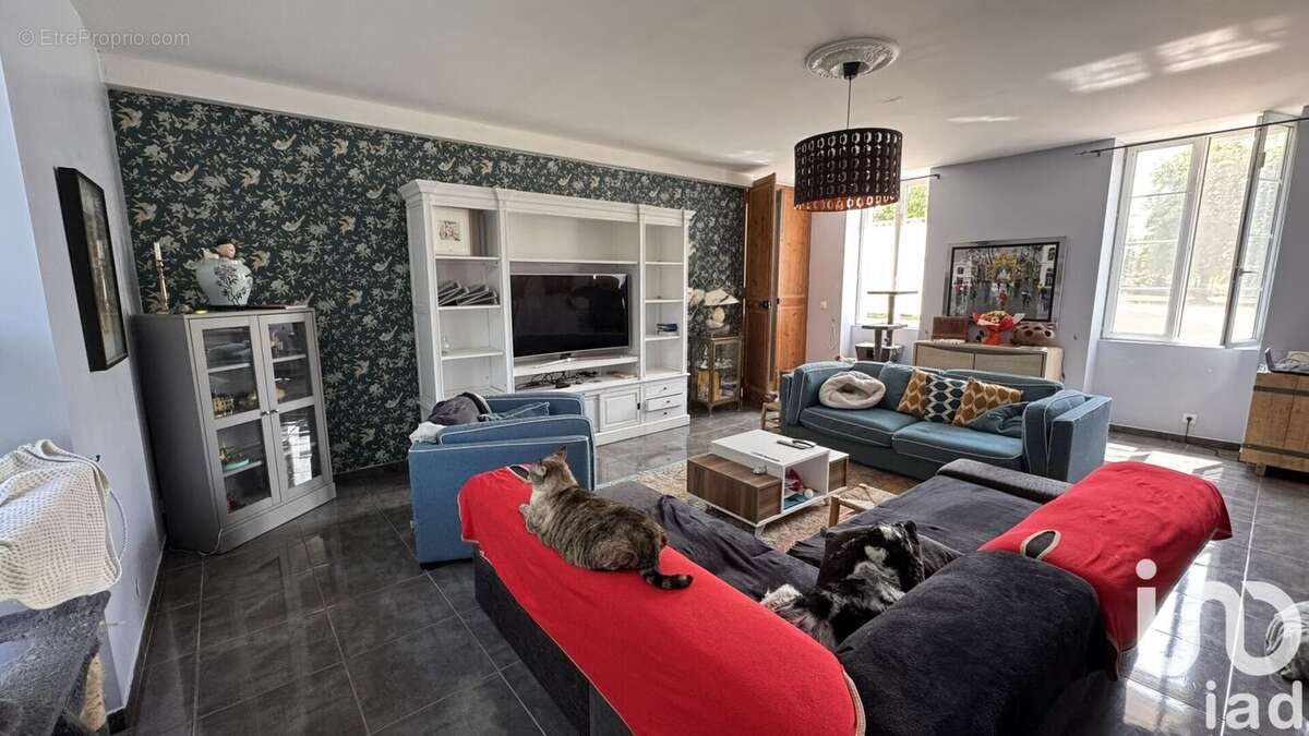 Maison 590 m² à Anais  - photo 6