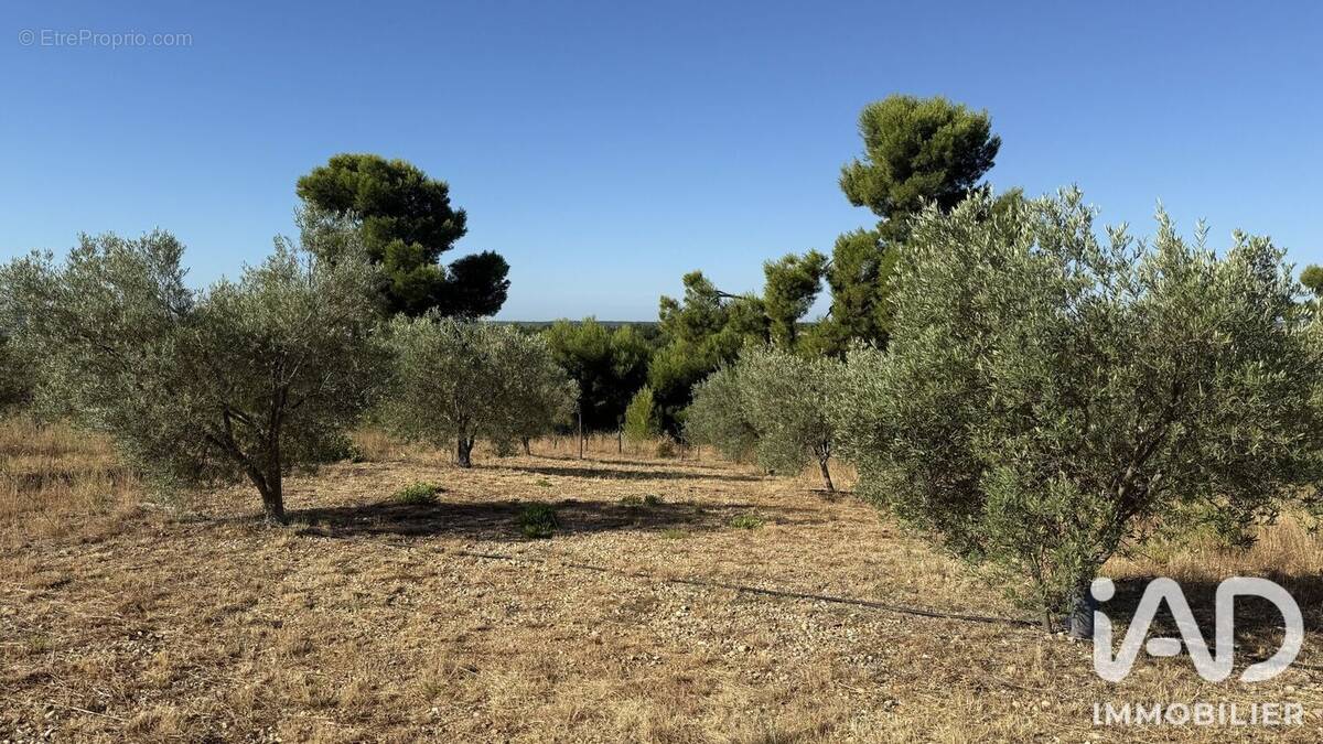 Terrain 28595 m² à Paulhan · 75 000 €