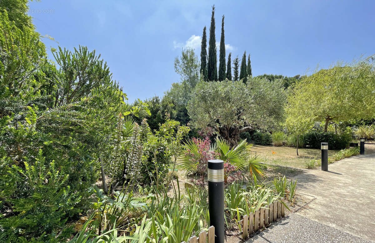 Appartement à SAINT-JEAN-DE-VEDAS