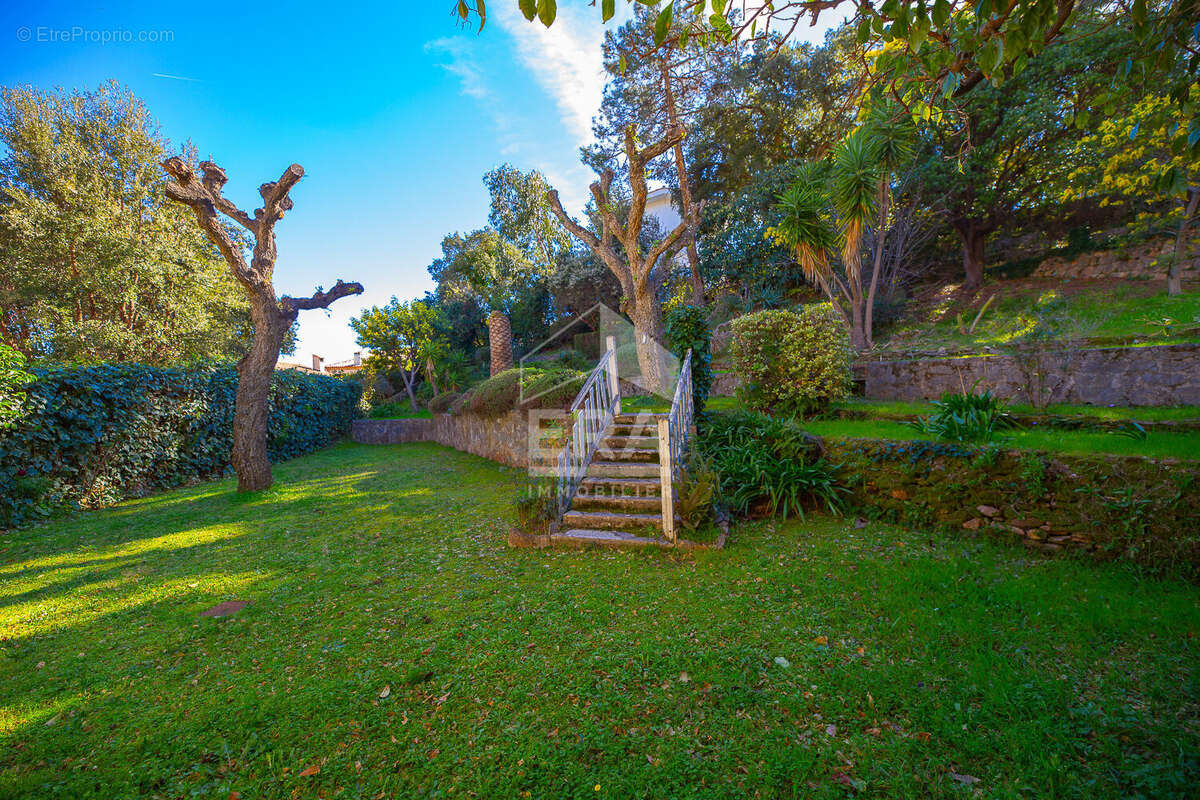 Maison à MANDELIEU-LA-NAPOULE