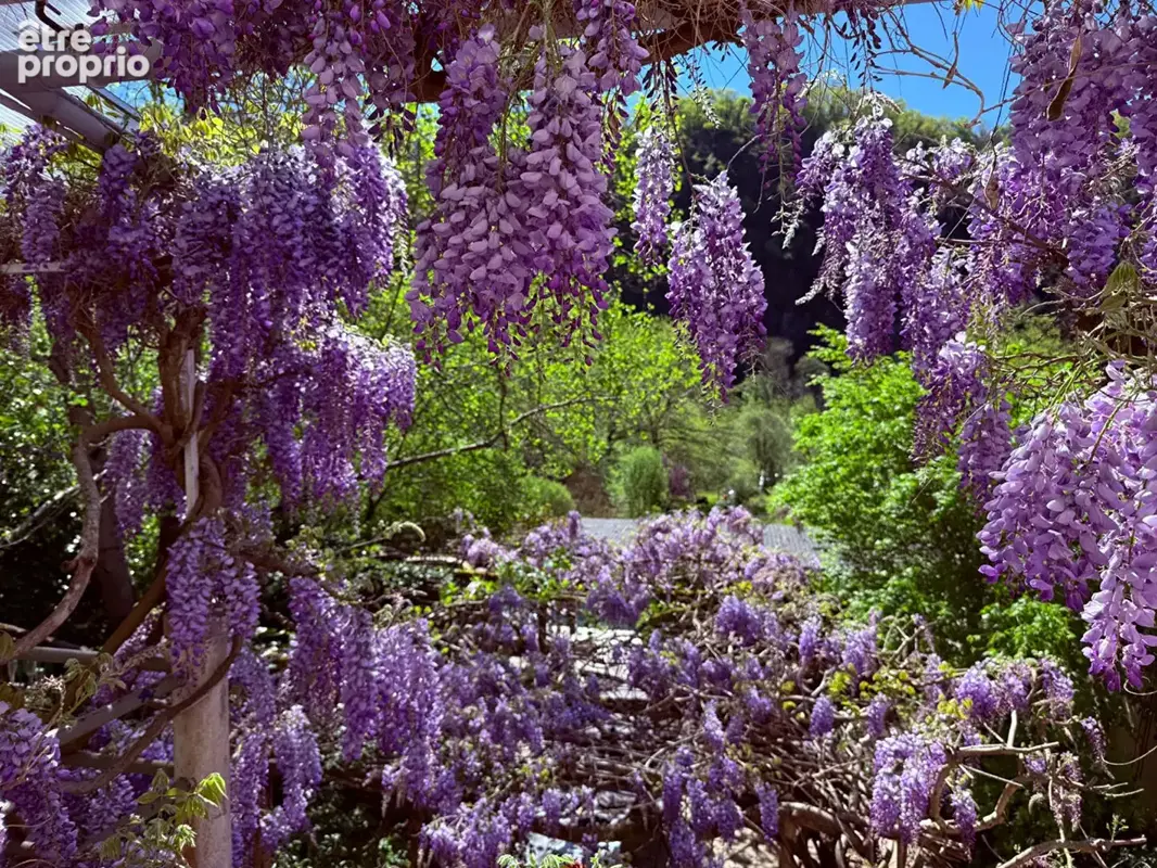 Une propriété unique entre nature, créativité et douceur de vivre - photo 22
