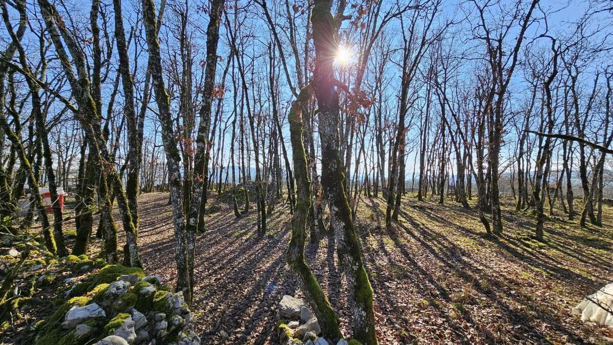 Terrain à SAINT-CHELS