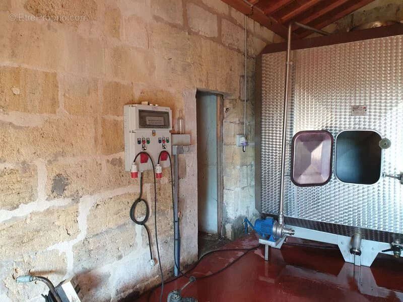 Propriété viticole en Bio à vendre Saint Emilion - Réf 1140 - photo 5