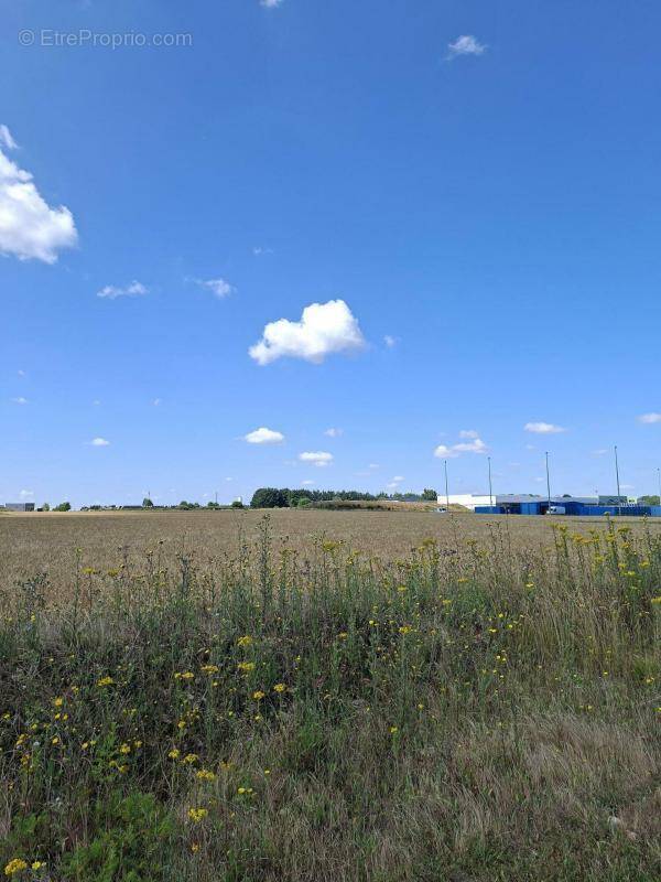 Terrain à COLOMBELLES