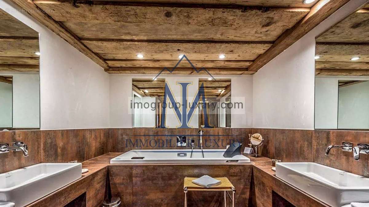 Commerce à ARACHES-LA-FRASSE