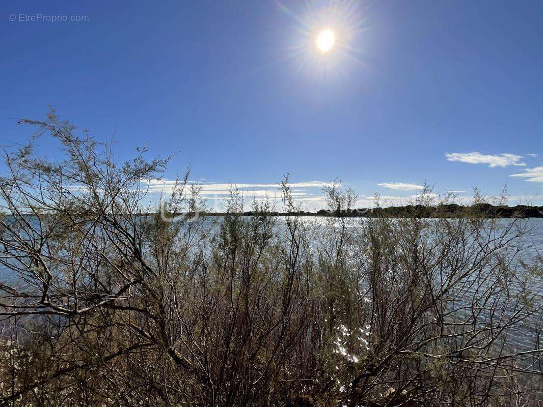 Appartement à LA GRANDE-MOTTE