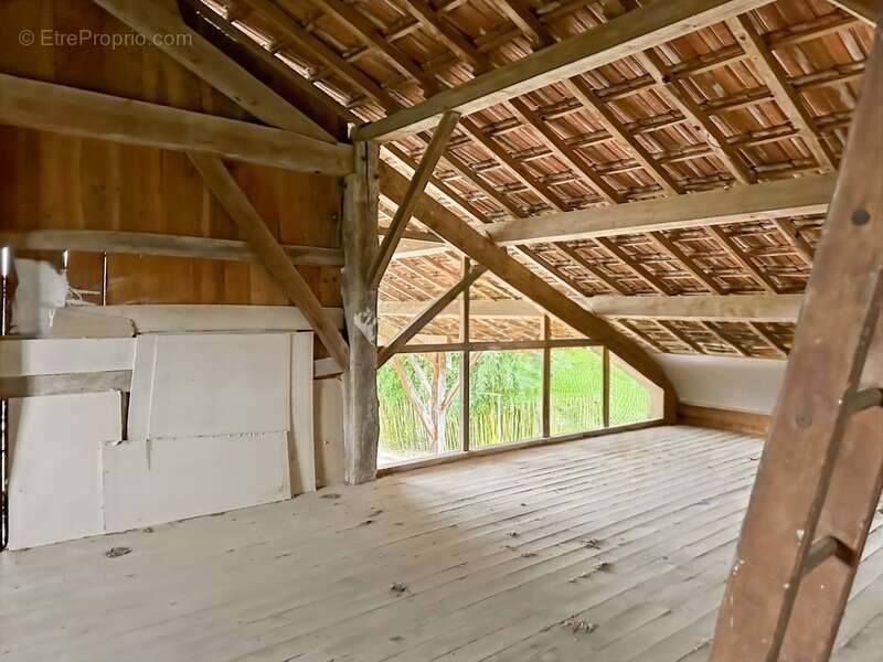 Immeuble de rapport - 580 m2 - RIGUEPEU - 4 logements avec jardin - photo 25