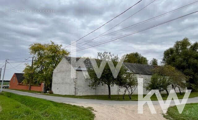 Maison 251 m² à Trainou  - photo 4