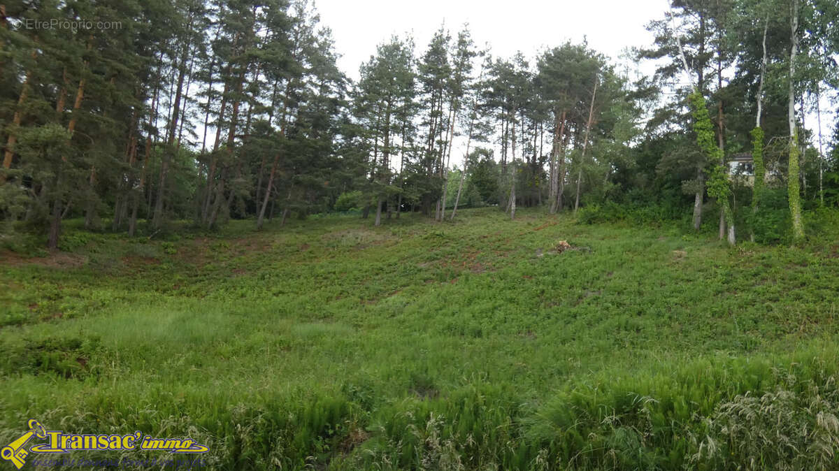 Terrain à COURPIERE