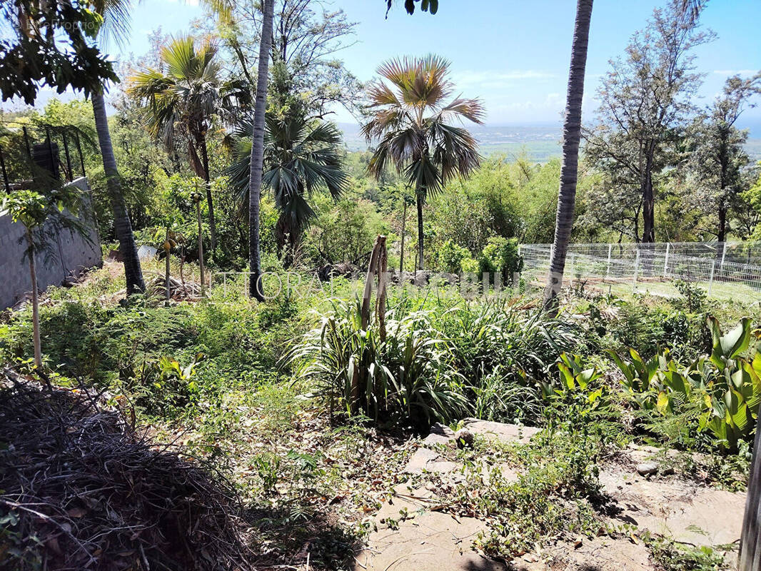 Terrain à L'ETANG-SALE