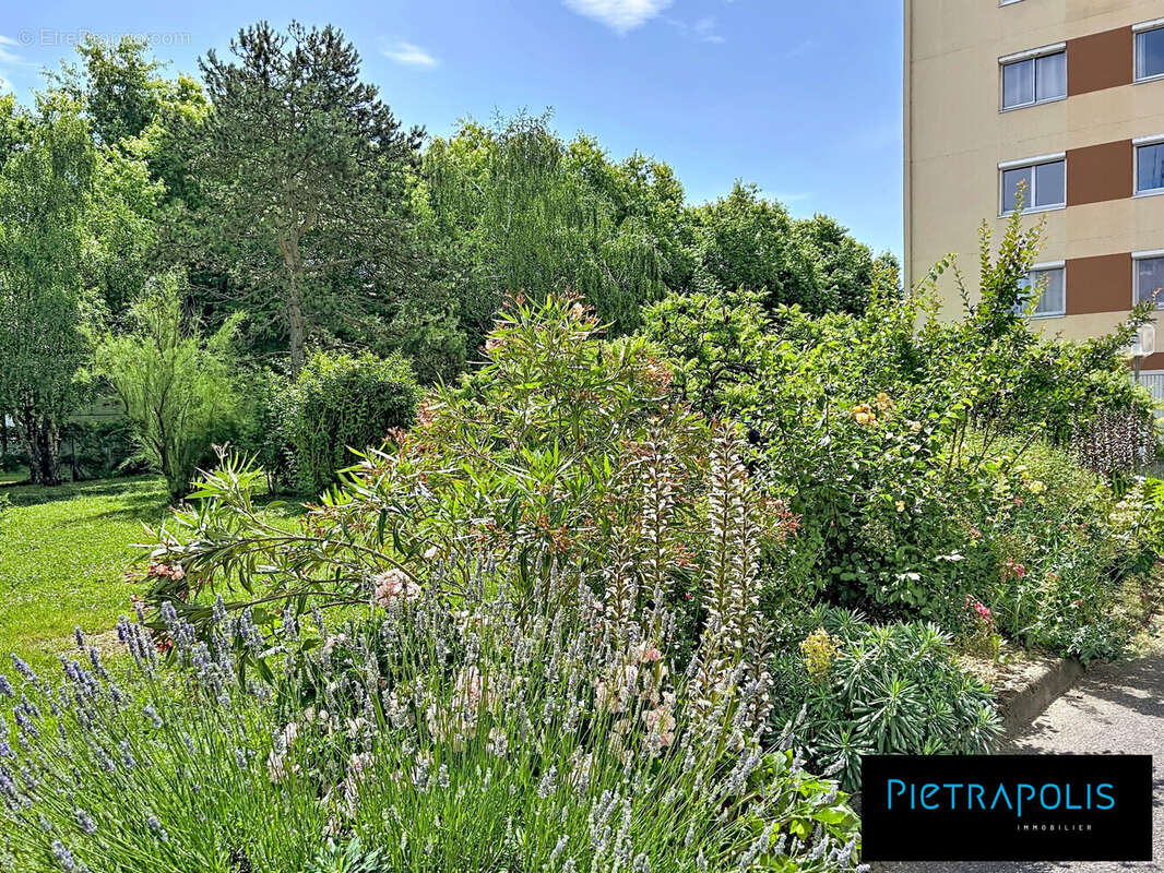 Appartement à DECINES-CHARPIEU