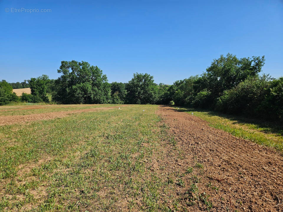 Terrain à BERNAC