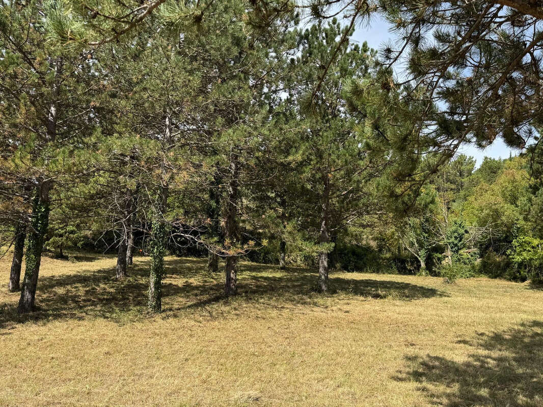 Terrain à SOUBES