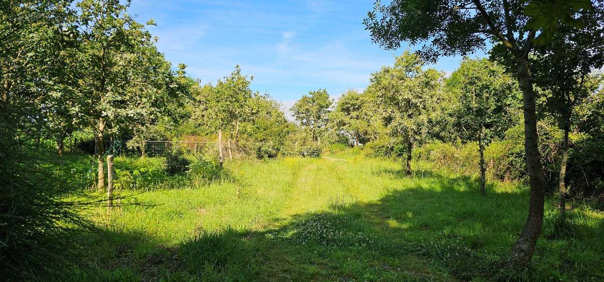 Photo 2 - Terrain à LA PLAINE-SUR-MER