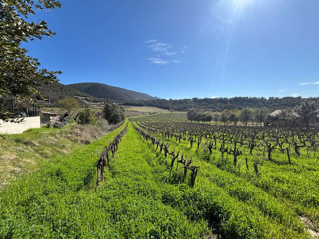 Terrain à ROUSSET-LES-VIGNES